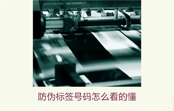 防偽標(biāo)簽號碼怎么看的懂？詳細(xì)解析防偽標(biāo)簽號碼的識別方法與技巧(圖1)