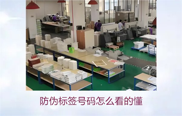防偽標(biāo)簽號碼怎么看的懂？詳細(xì)解析防偽標(biāo)簽號碼的識別方法與技巧(圖2)