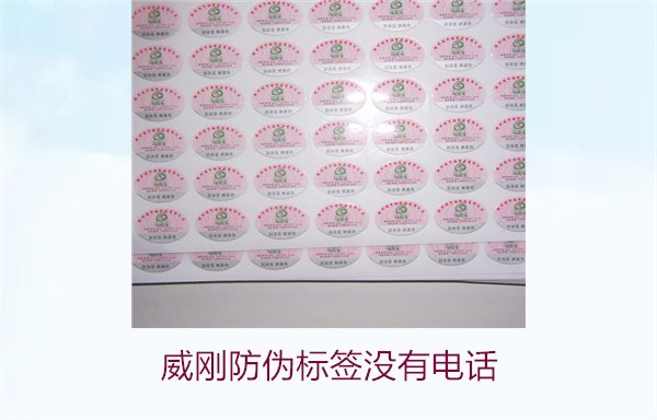 威剛防偽標簽沒有電話,如何通過其他方式驗證威剛防偽標簽的真?zhèn)?圖3) 威剛防偽標簽沒有電話,如何通過其他方式驗證威剛防偽標簽的真?zhèn)?圖3)